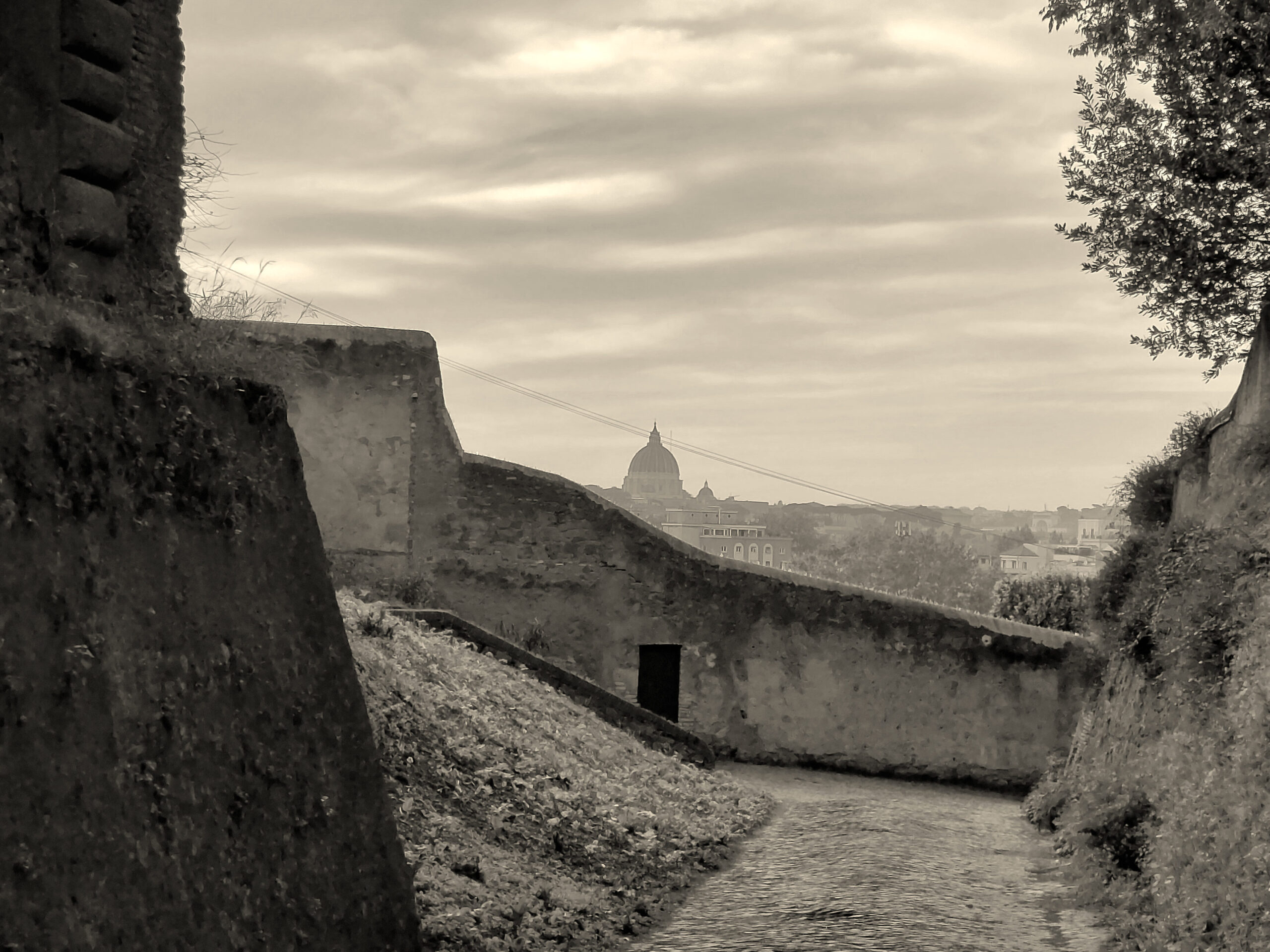 Salita a Sant'Anselmo
astero rosso